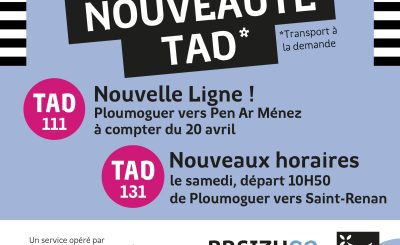 nouveauté TAD Transport à la demande ligne 111 et 131